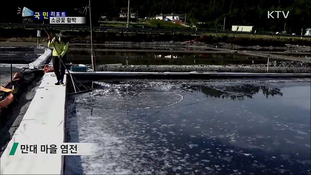 태안 갯벌 염전···소금꽃 활짝