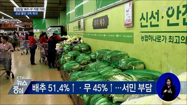 김장철, 배추·무 공급 대폭 확대