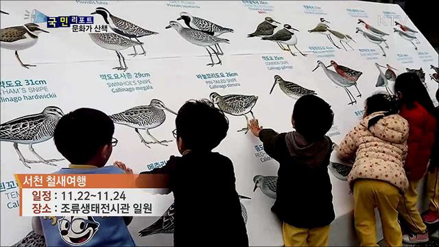 겨울 손님과 함께···이주의 문화가 산책 