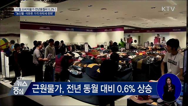 11월 소비자물가 전년 동월 대비 0.2%↑