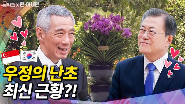 싱가포르에 있는 '문재인·김정숙 난초' 근황... 한-아세안 특별정상회의의 서막, 싱가포르 정상회담! MOU체결, 오찬까지 풀버전