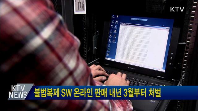 불법복제 SW 온라인 판매 내년 3월부터 처벌