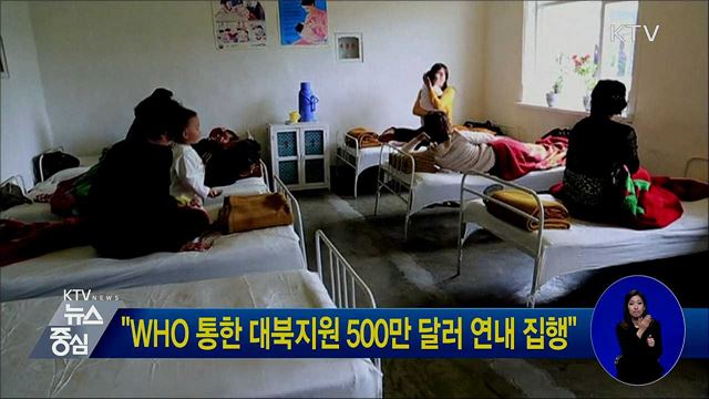 "WHO 통한 대북지원 500만 달러 연내 집행"