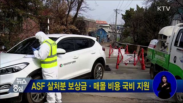 ASF 살처분 보상금·매몰 비용 국비 지원