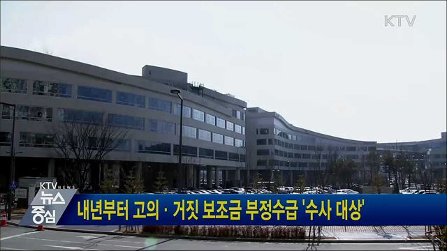 내년부터 고의·거짓 보조금 부정수급 '수사 대상'