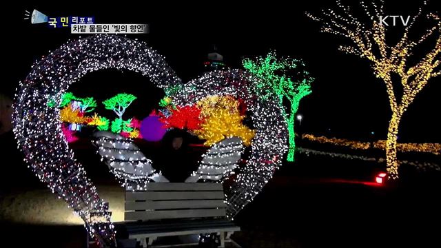 차밭 수놓은 '빛의 향연'···관광객 줄이어