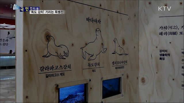 일제가 멸종시킨 '독도 강치'를 기리며…