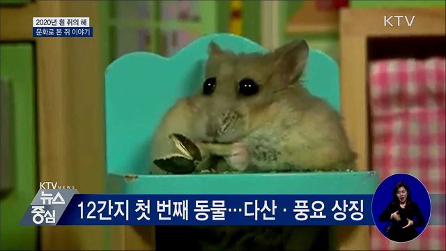 2020년 흰 쥐의 해···문화로 본 쥐 이야기