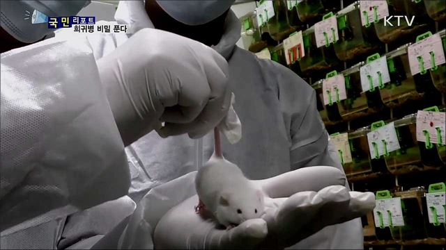 유전자 변형 쥐 연구···생로병사 비밀 풀어준다