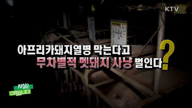 국산약 상당수 건강보험 시장서 퇴출 위기? / 아프리카돼지열병 막는다고 무차별적 멧돼지 사냥 벌인다?