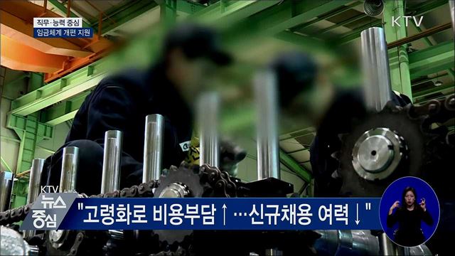 직무·능력 중심 임금체계 개편 지원