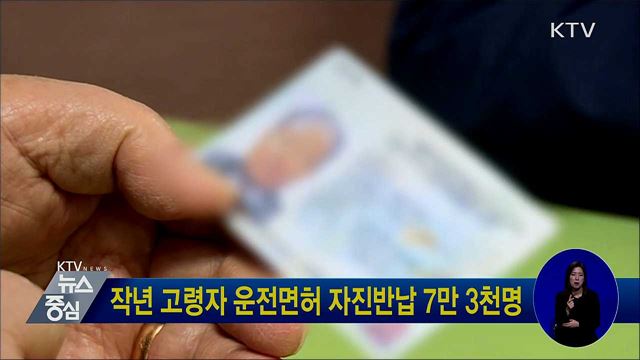 작년 고령자 운전면허 자진반납 7만 3천명