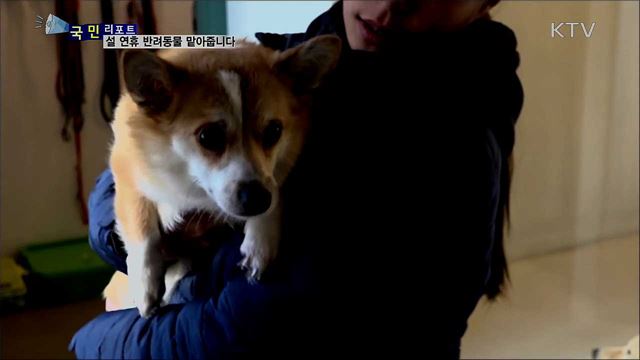 명절 반려동물 유기···지자체가 해결 나서다