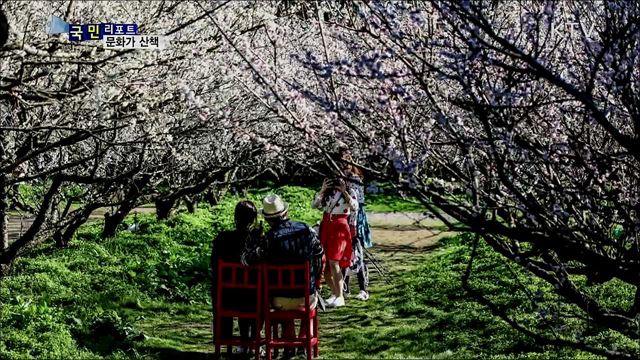 이주의 문화가 산책 (20. 02. 06. 07시)