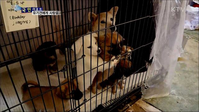 안 쓰는 이불 기부하세요···유기견에 사랑을