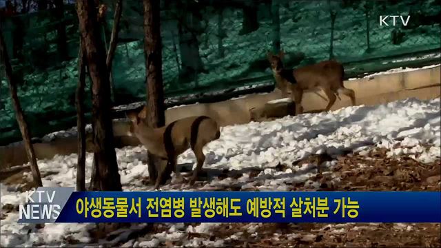 야생동물서 전염병 발생해도 예방적 살처분 가능