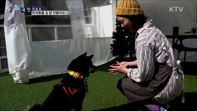 정성·영양 만점···반려동물 집밥 만들어요