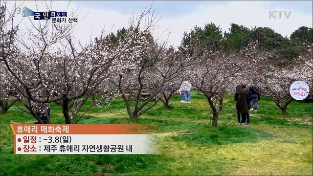 이주의 문화가 산책 (20. 02. 20. 07시)