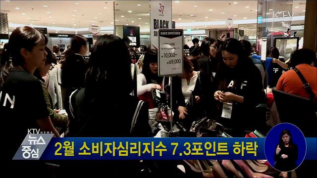 2월 소비자심리지수 7.3포인트 하락