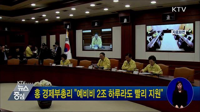 홍 경제부총리 "예비비 2조 하루라도 빨리 지원"