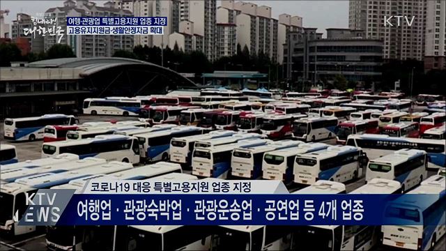 코로나19 타격 관광·공연업 특별고용지원 업종 지정