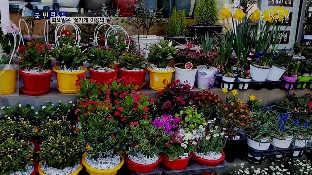 1테이블 1플라워···화요일은 '꽃가게 이용의 날' 