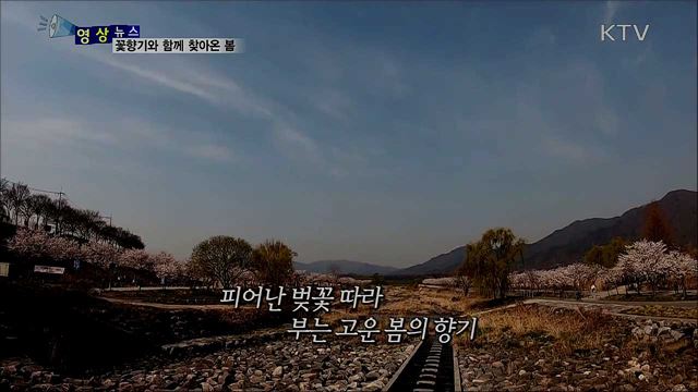 꽃향기와 함께 찾아온 봄 [한국의 美]