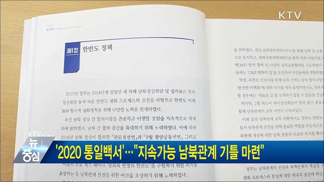 '2020 통일백서'···"지속가능 남북관계 기틀 마련"