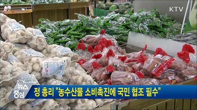 정 총리 "농수산물 소비촉진에 국민 협조 필수"