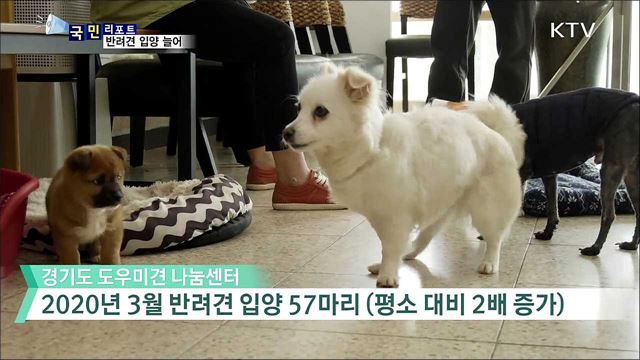 코로나19 우울감 극복···반려동물 입양 급증