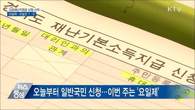 재난지원금 신청 시작···이번주는 '요일제' 적용