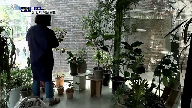 집 안에 생기 불어넣어요···'플랜테리어' 인기
