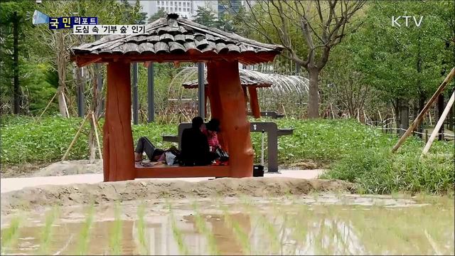 도심 속 '기부숲' 조성···코로나 치유의 공간