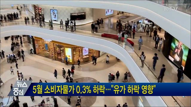5월 소비자물가 0.3% 하락···"유가 하락 영향"
