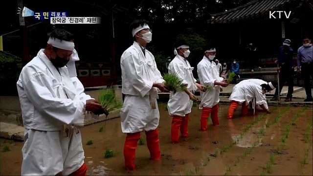 창덕궁서 손 모내기···조선 시대 '친경례' 재현