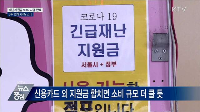 "신용카드로 받은 재난지원금 3주 만에 64% 소비"