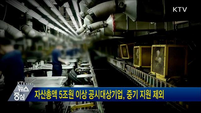 자산총액 5조원 이상 공시대상기업, 중기 지원 제외