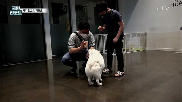 반려동물 똑똑한 입양 도와드립니다