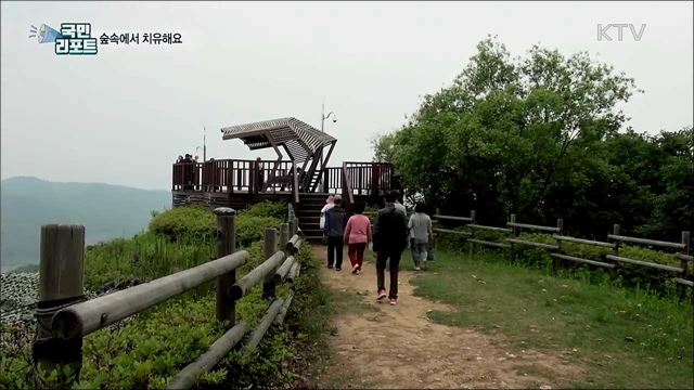 치유의 숲 '율곡수목원'···'코로나 블루' 이겨내요!