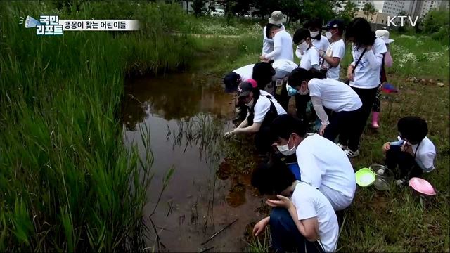 '멸종 위기종' 맹꽁이 찾는 어린이 탐사 활동