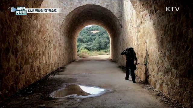 'DMZ 평화의 길' 명품길 만든다···7개 테마 노선 추가 개방