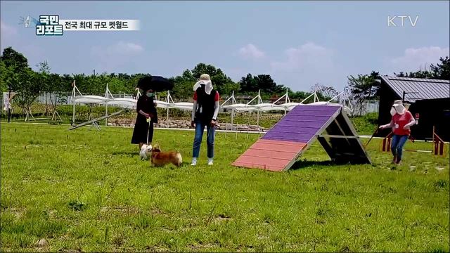 축구장 6배 규모···반려견 놀이터 '펫월드' 인기