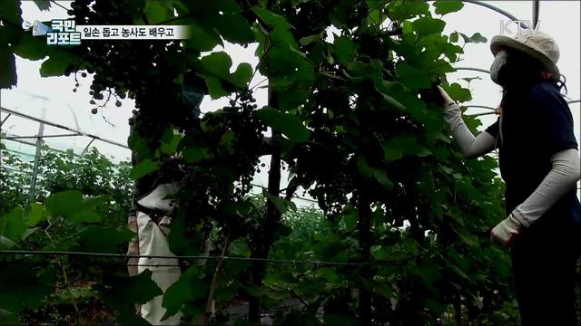 농촌 도시 상생···일손 돕고 농사도 배우고