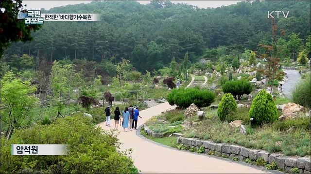 여름휴가 여기 어때요···안산 '바다향기수목원'