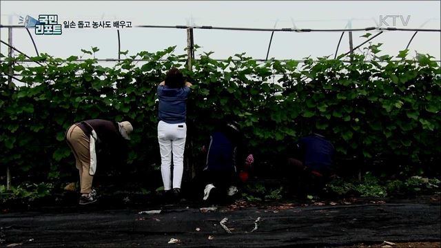 농촌 도시 상생···일손 돕고 농사도 배우고