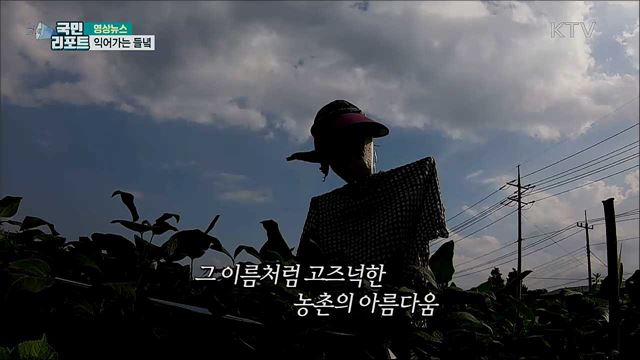 익어가는 들녘 [한국의 美]