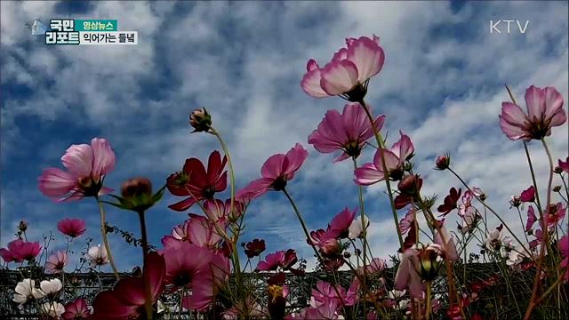 익어가는 들녘 [한국의 美]