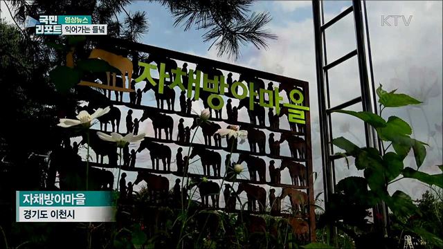 익어가는 들녘 [한국의 美]