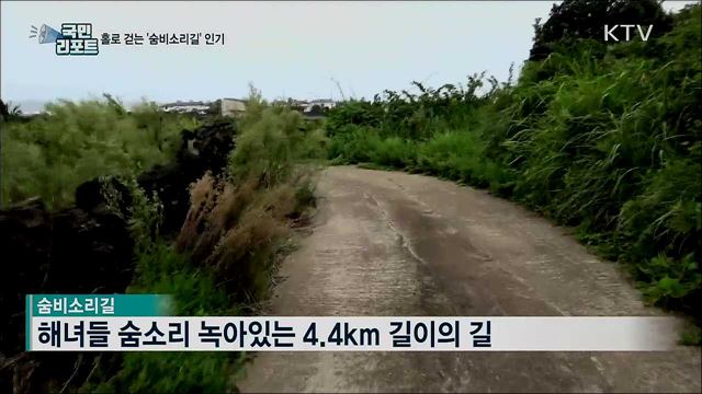 해녀의 삶이 녹아있는 '숨비소리길' 인기