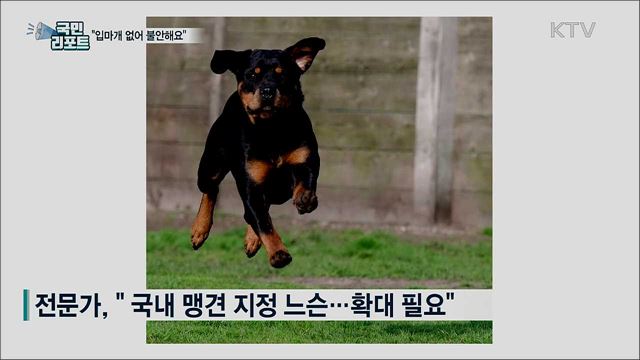"입마개 없는 반려견 불안해요"···시민 목소리 커져